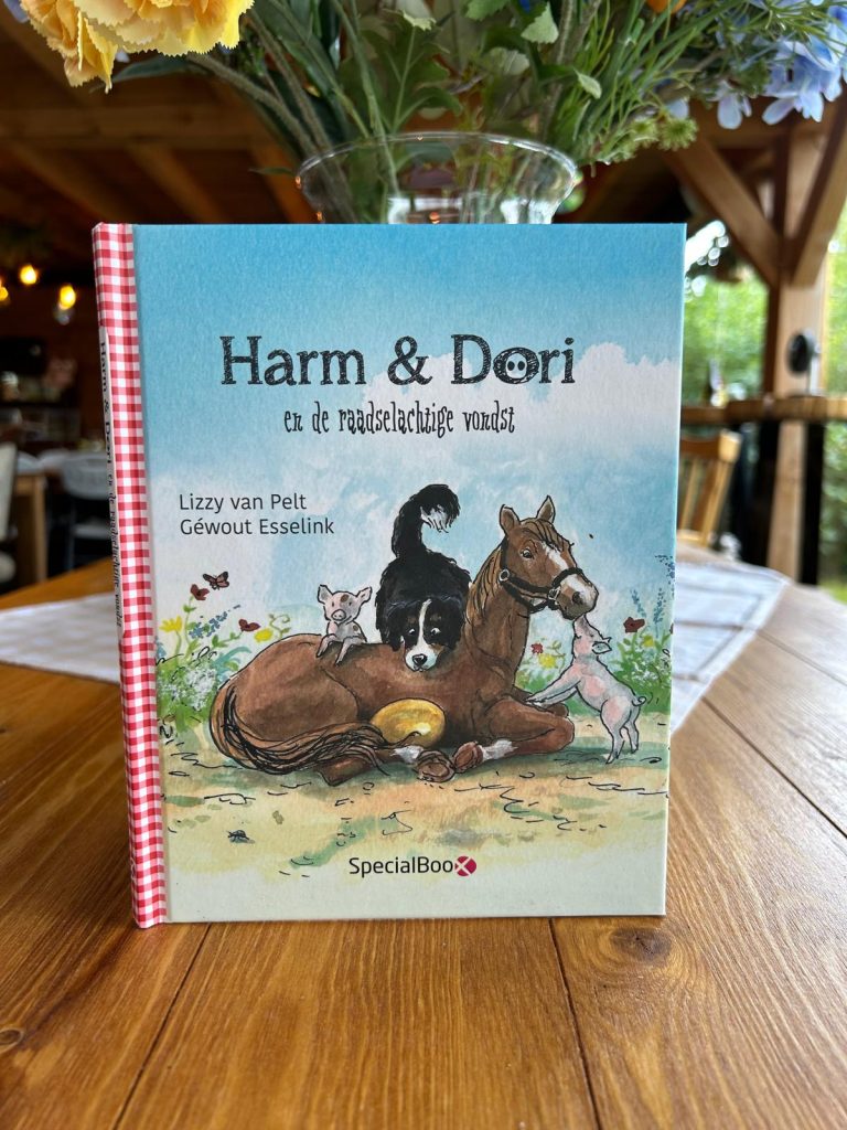 Leesboekje Harm & Dori en de raadselachtige vondst